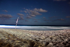 playa de noche en cancun, bodas en la playa, playas para hacer bodas en cancun