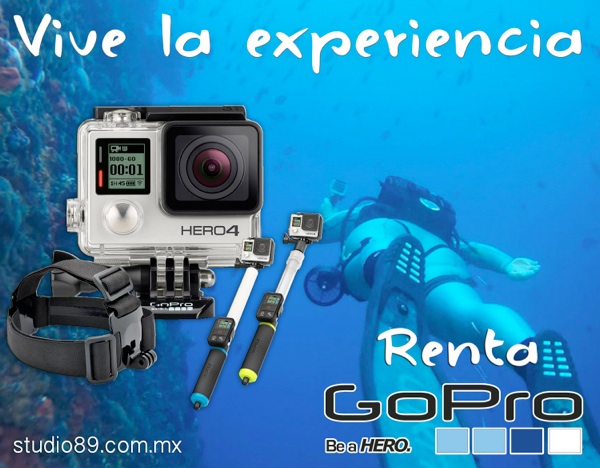 Renta de camaras acuaticas gopro, accesorios para go pro
