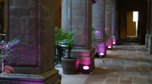 Iluminaci&oacute;n para salones de fiesta y eventos